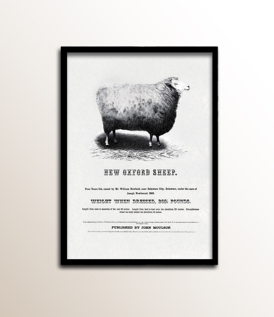 Love & Paper framed art print